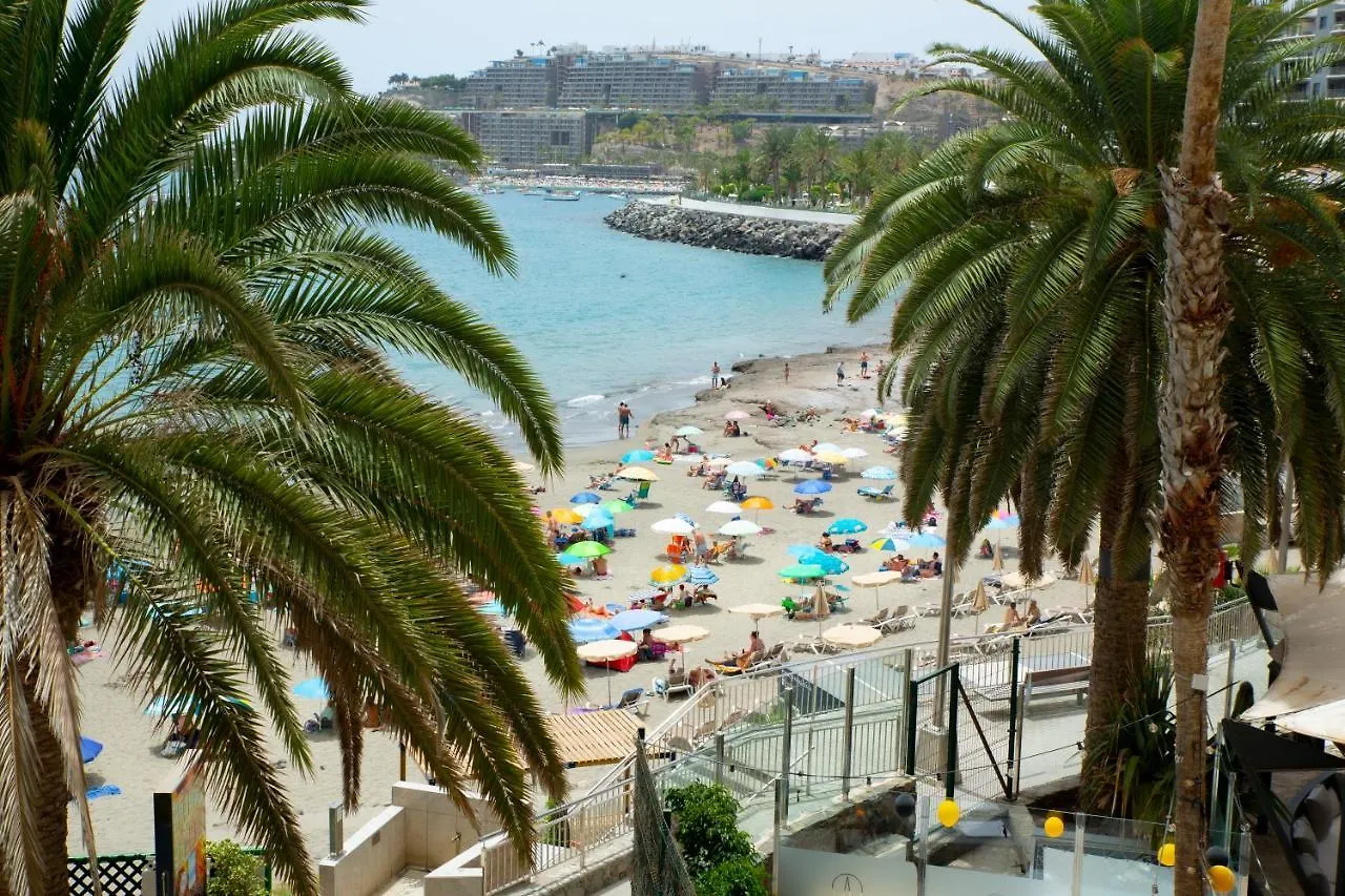 Apartment Donana Apartamento Sunset First Line To The Beach Patalavaca Spain